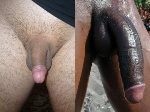 Naked picture of huge tall black dick